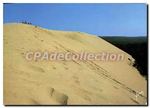 Cartes postales moderne La Dune De Pyla Bassin d'Arcachon Grand site National la Dune de Pyla est la Plus haute d'Europ