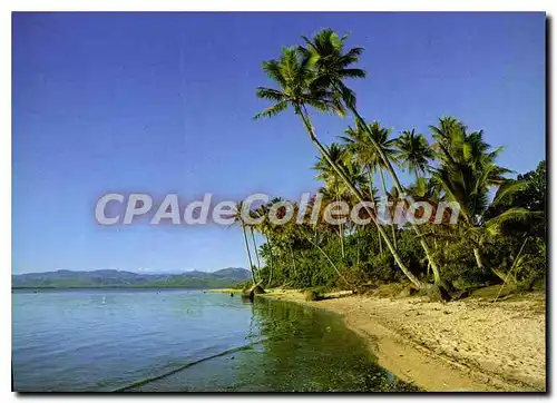 Cartes postales moderne Rivage Du Nord Caledonien North Caledonian Beach
