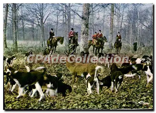 Moderne Karte Chasse A Courre L'Hallali