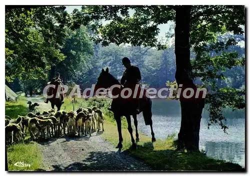 Cartes postales moderne Chasse A Courre Hunting Hetzjagd