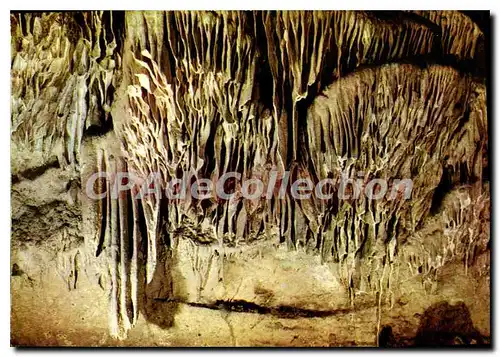 Cartes postales moderne Les Grottes D'Arcy Sur Cure Les Draperies