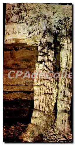 Cartes postales moderne Les Grottes D'Arcy Sur Cure Le Piller Double