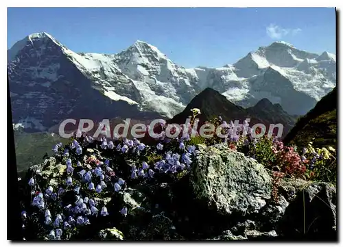 Cartes postales moderne Eiger Monch Und Jungfrau