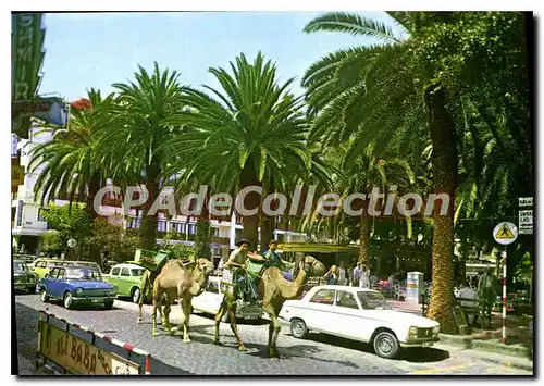 Cartes postales moderne Puerto De La Cruz Teneride Plaza Del Charco