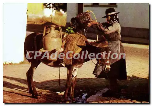 Cartes postales moderne Portugal Algarve Aguadeira