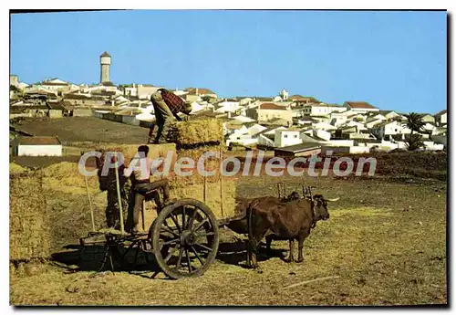 Moderne Karte Portugal Algarve Vila Do Bispo Carro De Bois