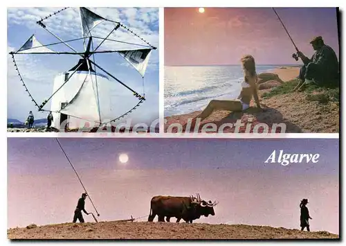 Cartes postales moderne Portugal Algarve