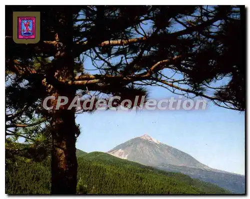 Cartes postales moderne Tenerife Mirador De Ortuno