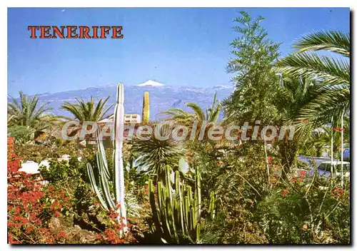 Cartes postales moderne Tenerife Costa Del Silencio