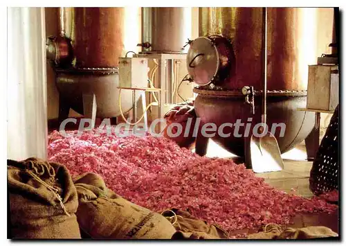 Cartes postales moderne Pour Decouvrir Emilie Carte postale parfum�e Fragonard