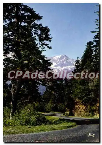 Cartes postales moderne La Route Des Pyrenees Dans Le Col D'Aspin