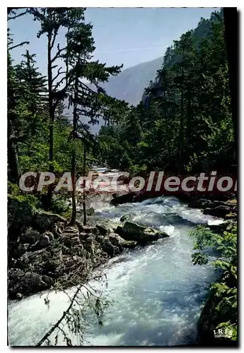 Cartes postales moderne Gave Pyreneen