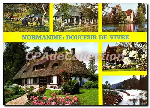 Cartes postales moderne Vaches Normandes Chaumiere Normandes L'Eglise de Cricqueboeuf