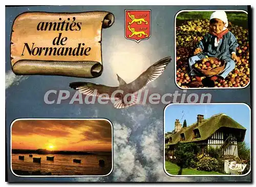 Cartes postales moderne Amities de Normandie