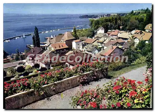 Cartes postales moderne Thonon les Bains la Pointe de Ripaille et la Rive Suisse