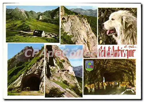 Cartes postales moderne Souvenir du Col d'Aubisque