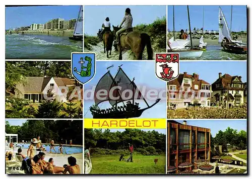 Cartes postales moderne Cote d'Opale France Hardelot Plage Pas de Calais