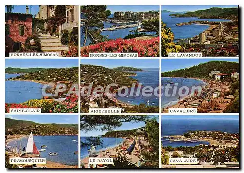 Cartes postales moderne La Cote d'Azur Varoise de Bormes Les Mimosas a Cavalaire sur Mer