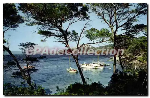 Cartes postales moderne Refletes de la Cote D'Azur Pinedes et Calanques