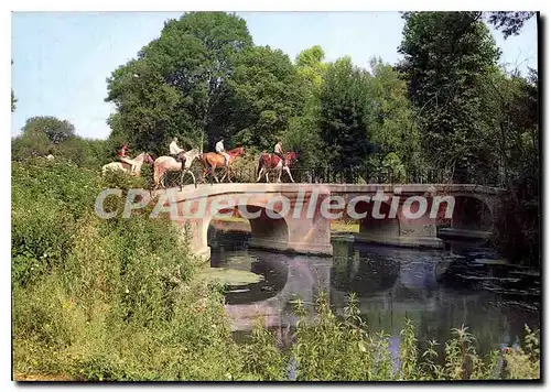 Cartes postales moderne Jarnac Charente Le Pont des Soupirs vieux Pont romain
