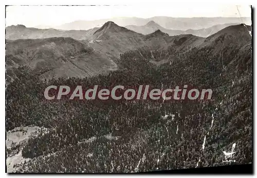 Cartes postales moderne Massif du Puy Mary Cantal Le Bois du Falgoux