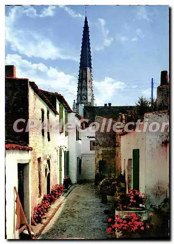 Cartes postales moderne Ile de re Une Rue fleurie a Ars en Re