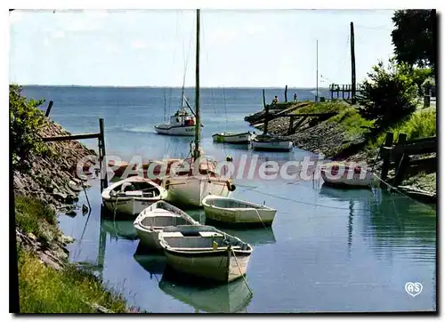 Cartes postales moderne Talmont Charente Maritime Le Port