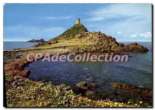 Cartes postales moderne La Corse Inoubliable Ajaccio Iles Sanguinaires La Tour