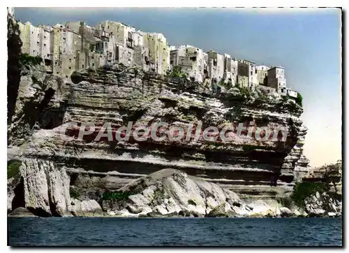 Cartes postales moderne La Corse Ile de Beaute Bonifacio Les Falaises et la Vieille Ville