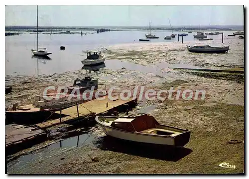 Cartes postales moderne Arcachon Gironde Pointe de l'Aiguillon a marree basse