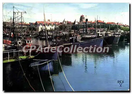 Cartes postales moderne St Jean de Luz B P Le Port