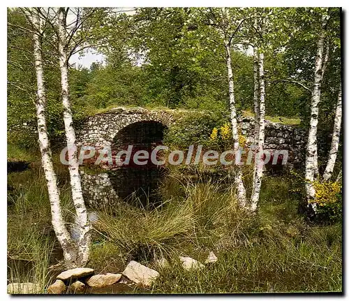 Cartes postales moderne Le Limousin touristique Pays d'Eau et de Verdure