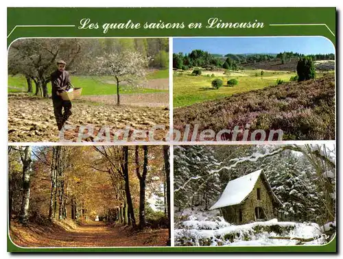 Cartes postales moderne Les Quatre saisons en Limousin