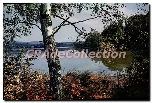 Cartes postales moderne Le Limousin Pittoresque L'Etang de Cieux