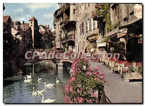 Cartes postales moderne Le Lac d'Annecy Terre de Beaute