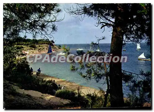 Cartes postales moderne Ile de Re Charente Maritime les Portes Le Fier Anse de Trousse Chemise