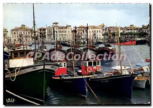 Cartes postales moderne Saint Jean de Luz Le Port et Maison d'Infante