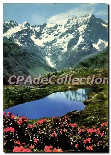 Moderne Karte Les Alpes Pittoresques Le printemps en haute altitude Le Lac du Lauzon