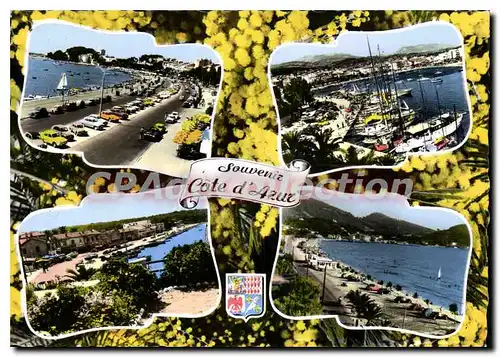 Cartes postales moderne Lumiere et Beaute de la Cote d'Azur Sanary Bandol les Lecques Le Brusc