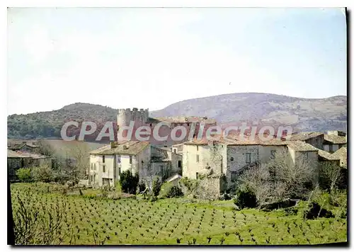 Cartes postales moderne L'Aude tourisque Villerouge Termines Vue partielle