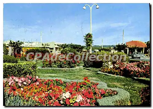 Cartes postales moderne Narbonne Plage Aude Boulevard Central et Jardin Floral