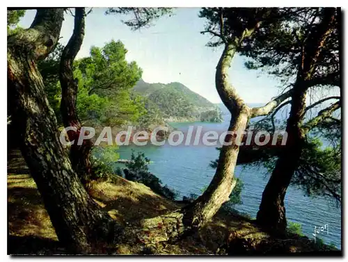 Cartes postales moderne La Cote d'Azur miracle de la natre Paysage Varois