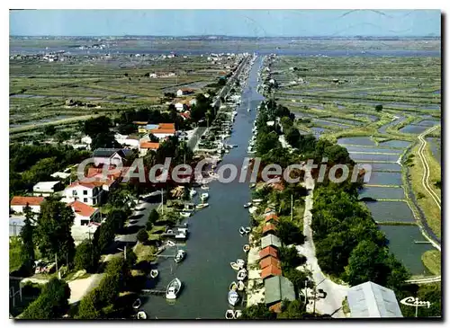 Cartes postales moderne La Tremblade Vue aerienne