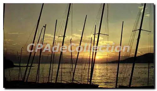 Cartes postales moderne Porticcio Corse La Plage et le Coucher de soleil