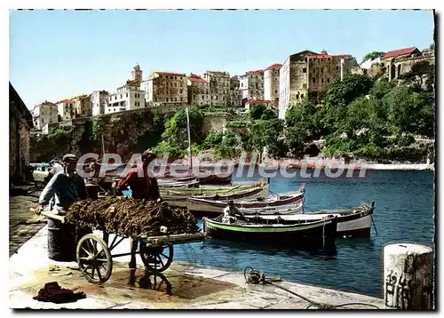 Cartes postales moderne La Corse ile de beaute Bastia Le vieux Port et la Citadelle