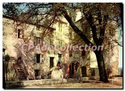 Cartes postales moderne Couleurs et Lumiere de France La Corse oasis de Beaute Saint Feorent