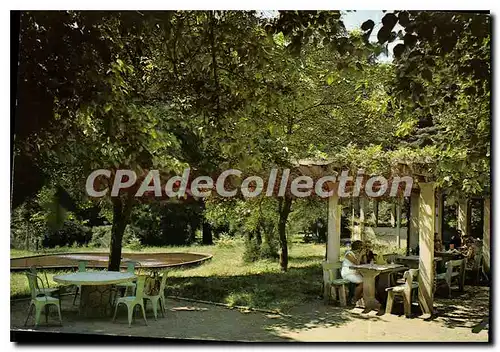 Cartes postales moderne Hotel du Parc Chambon de Vorey Un coin du Parc