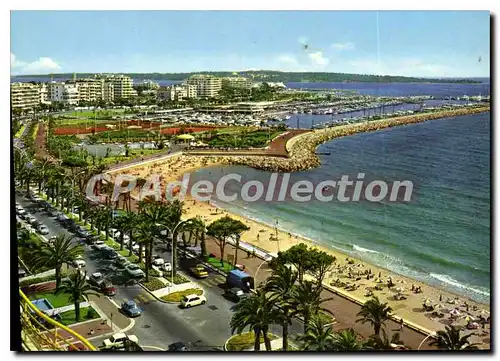 Cartes postales moderne Cannes La Croisette le Port Canto