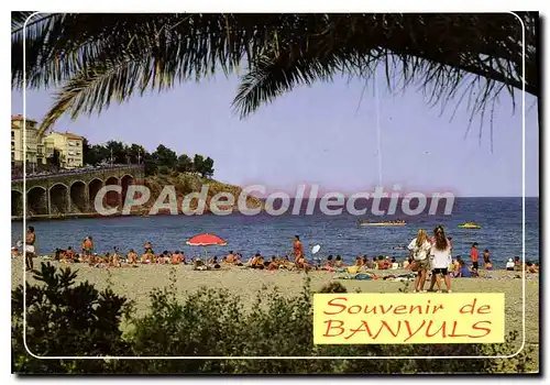 Cartes postales moderne La Cote Vermeille Banyuls sur mer La Baie et la plage