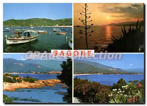 Cartes postales moderne La Corse Oasis de Beaute Sagone